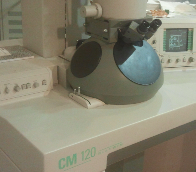 FEI CM-120 TEM Transmission Electron Microscope